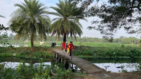 East Kolkata Wetlands walk