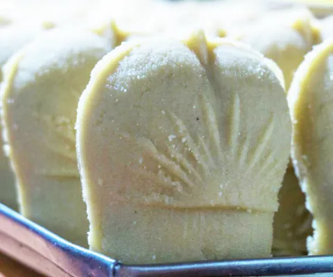 Jolbhora Surya Modak