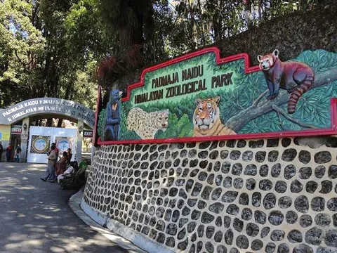 Padmaja Naidu Himalayan Zoological Park