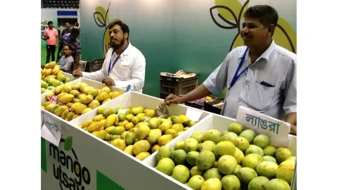 Mango Festival -- Biswarup Ganguly -- Wiki
