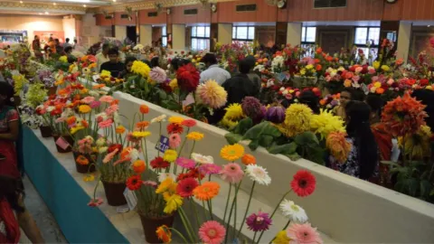 Horticulture flower show