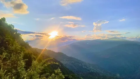 Pedong Article image