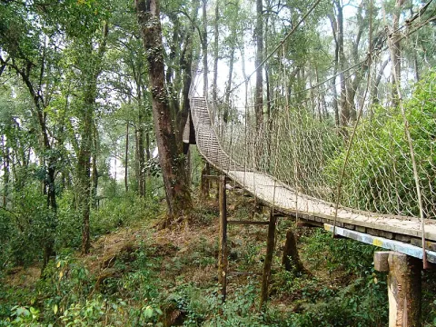 canopy-listing.webp