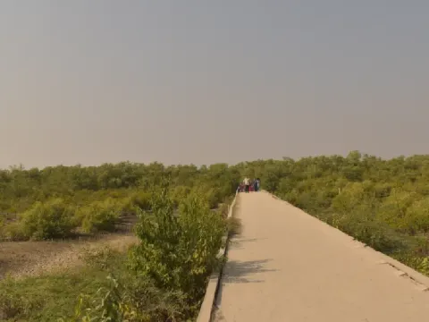 cycling-listing.webp