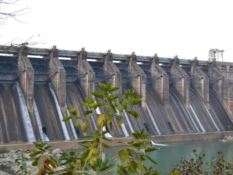 dam-listing.webp