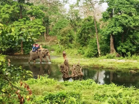 elephant-safari-listing.webp