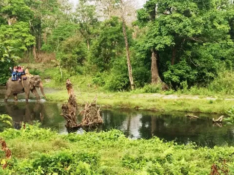 jaldapara1.webp