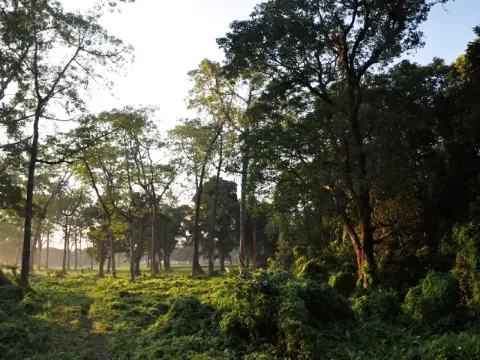 jaldapara2.webp