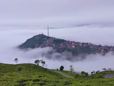 kurseong4.webp
