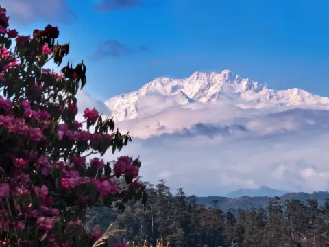sandakphu2.webp