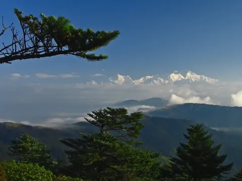 sandakphu3.webp