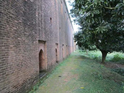 Baisgazi-Wal-listing.jpg
