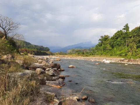 Fishing in the Jaldhaka-listing.webp