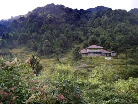 Nature Walks_ Gairibas, Dalgaon, and Rongo-listing.webp