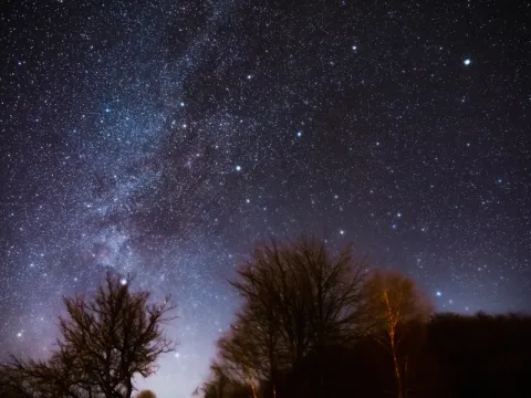 Stargazing-listing.webp