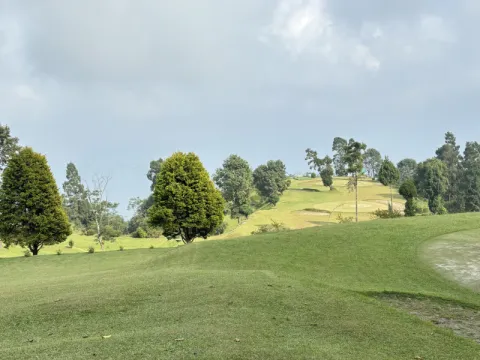 golf-listing.webp