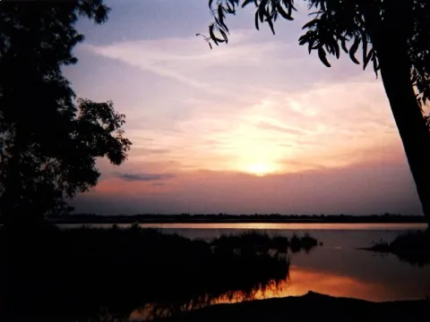 sunrise-listing.webp