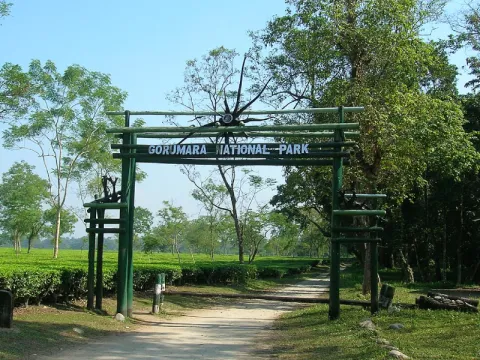 tea-garden-listing.webp