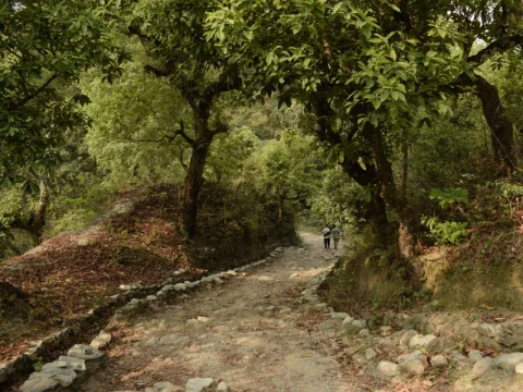 trekking-listing.webp