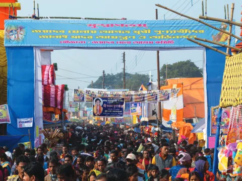festival-listing.webp