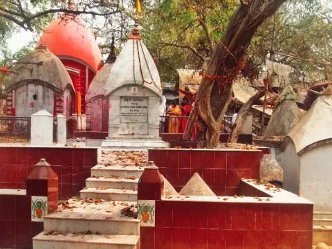 Tarapith-listing.webp