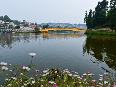mirik-listing.webp