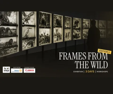 Frames From The Wild – Edition II