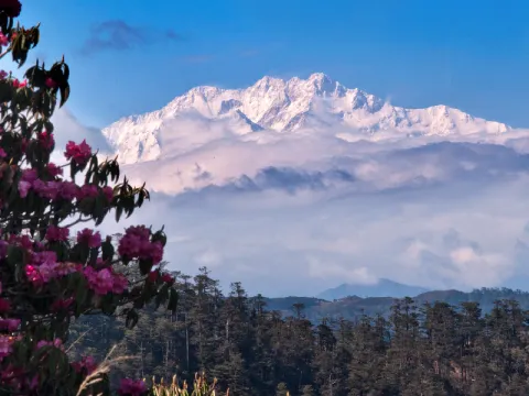 sandakphu-listing.webp
