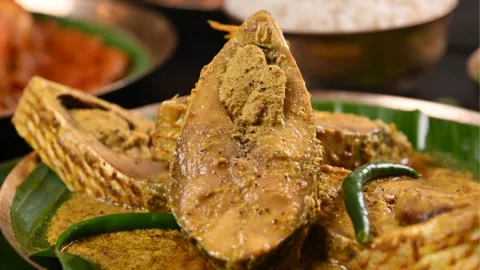 Bhapa ilish